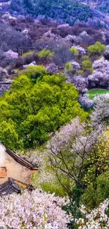 Lush spring landscape with blooming trees and green foliage.