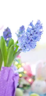 Purple hyacinth flowers with Easter decor in background.