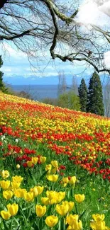 Colorful tulips bloom under a large tree beside a tranquil lake.