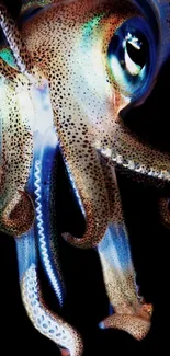 Close-up of a colorful squid on a black background, perfect for mobile wallpaper.