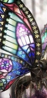 Stained glass butterfly with vibrant colors and intricate design.