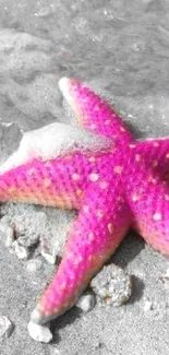 Pink starfish on sandy beach with ocean waves.