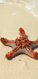 Vibrant red starfish on sandy beach with ocean waves near.