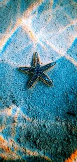 Starfish on sandy beach with blue ocean background.