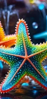 Vibrant starfish in a colorful ocean setting mobile wallpaper.