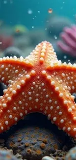 Vibrant orange starfish on ocean floor