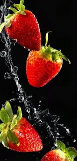 Fresh strawberries with water splash on black background.