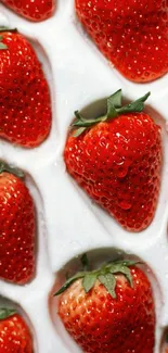 Vibrant strawberries on white background, perfect for mobile wallpaper.