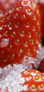 Close-up of strawberries with sugar crystals, vibrant red.