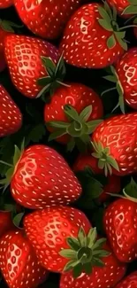 Vibrant wallpaper of fresh red strawberries.