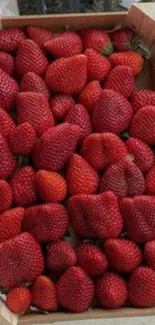 A box of fresh, red strawberries in vibrant detail.