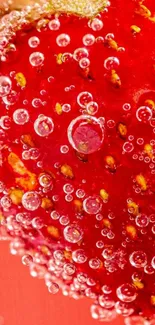 Close-up of a strawberry with bubbles on a red background.