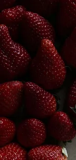 Dark red strawberries arranged closely together, creating a vibrant pattern.