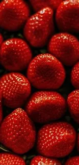 Close-up of vivid red strawberries in a pattern.