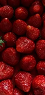 Close-up of vibrant red strawberries for a colorful mobile wallpaper.