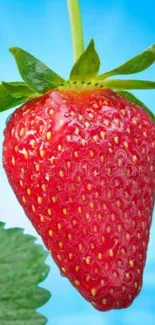 Close-up of a red strawberry with green leaves and blue sky background.