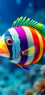 Colorful striped fish swimming in the ocean.