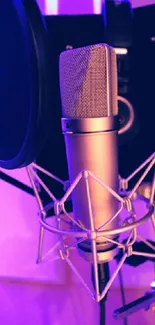 Studio microphone against a vibrant purple background for music lovers.