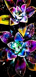 Colorful succulents on a dark background mobile wallpaper.