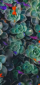 Colorful butterflies on green succulent plants.