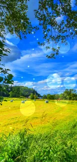 Vibrant summer field with blue sky and glowing bokeh.