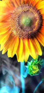 Vibrant yellow sunflower art with an abstract blue and black background.