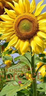 Sunflowers in field with blue sky and 'Together Forever' message.