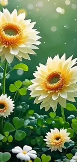 Sunflower garden with vibrant leaves and floral beauty for mobile wallpaper.