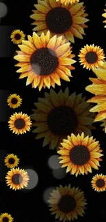 Mobile wallpaper with vibrant sunflowers on a black background.