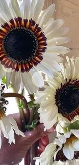 Hand holding bright sunflowers in natural light, perfect for a nature-themed wallpaper.