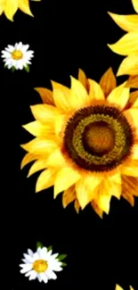 Sunflower mobile wallpaper with black background.