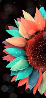 Colorful sunflower with vibrant petals on a dark background.