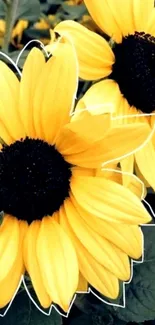 Vibrant sunflowers with yellow petals stand out against green leaves.