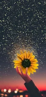 A sunflower held against a starry night with glowing sparks.