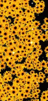 Vibrant sunflower wallpaper with a dark background.