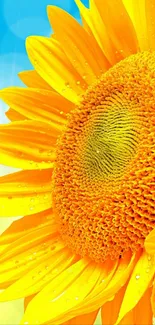 Close-up of a vibrant sunflower against a blue sky.