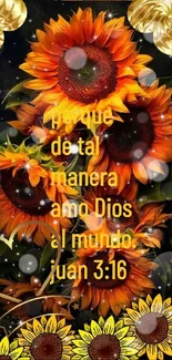 Vibrant orange sunflowers with inspirational text from John 3:16 on a dark background.