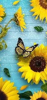 Yellow sunflowers and butterfly on blue wooden background.