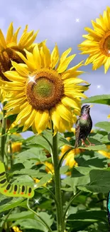 Sunflowers with a bird, butterfly, and caterpillar under blue sky.