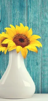 Bright sunflowers in a white vase against a blue wooden backdrop wallpaper.