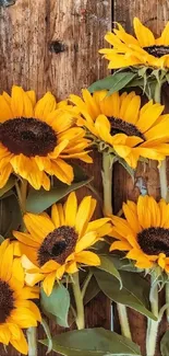 Vibrant sunflowers arranged on rustic wooden backdrop.