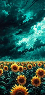 Sunflowers under a dramatic stormy sky wallpaper.