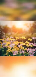 Sunrise over a colorful garden with pink and yellow flowers in bloom.