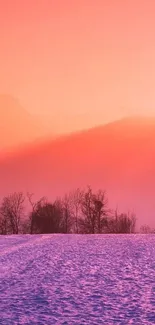 Sunrise over a snowy landscape with vibrant colors.