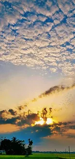 Vibrant sunset with clouds over green fields.