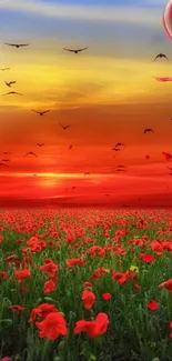 Hot air balloon over poppy field at sunset.