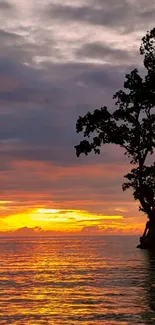 Silhouetted tree against sunset sky reflecting on tranquil ocean.