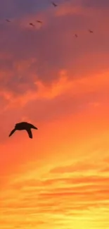 Silhouetted bird flying across a vibrant orange sunset sky.