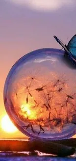 Butterfly perched on bubble at sunset, vibrant colors.