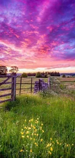 Vibrant purple sunset over a green field with dramatic sky.